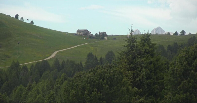 Webcam Белламонте-Альпе-Лусиа  - Pista Dolomitica