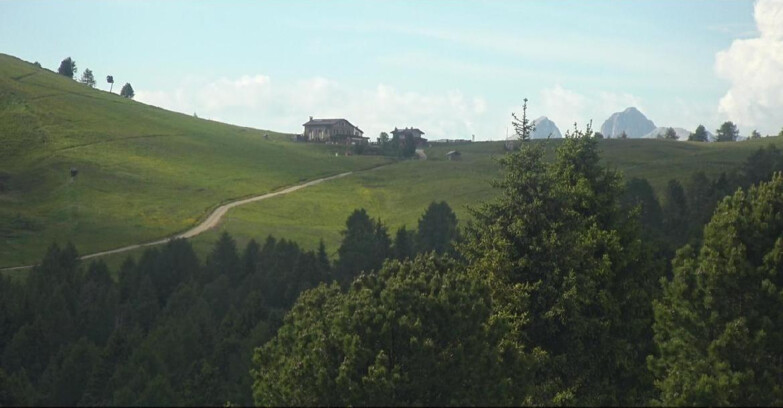 Webcam Белламонте-Альпе-Лусиа  - Pista Dolomitica
