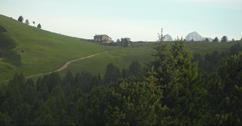 Webcam Белламонте-Альпе-Лусиа  - Pista Dolomitica