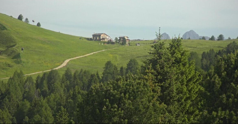 Webcam Белламонте-Альпе-Лусиа  - Pista Dolomitica