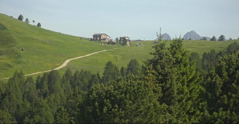 Webcam Белламонте-Альпе-Лусиа  - Pista Dolomitica