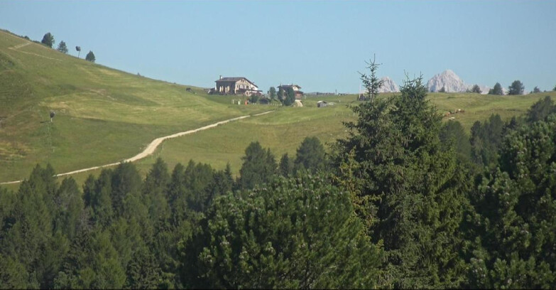 Webcam Bellamonte-Alpe Lusia - Dolomiti slope