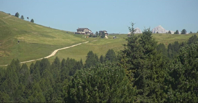 Webcam Bellamonte-Alpe Lusia - Dolomiti slope