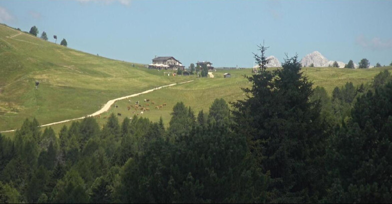 Webcam Bellamonte-Alpe Lusia - Dolomiti slope