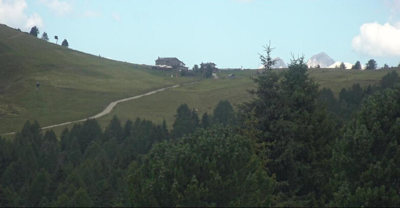 Webcam Bellamonte-Alpe Lusia - Dolomiti slope