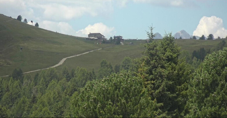 Webcam Bellamonte-Alpe Lusia - Dolomiti slope
