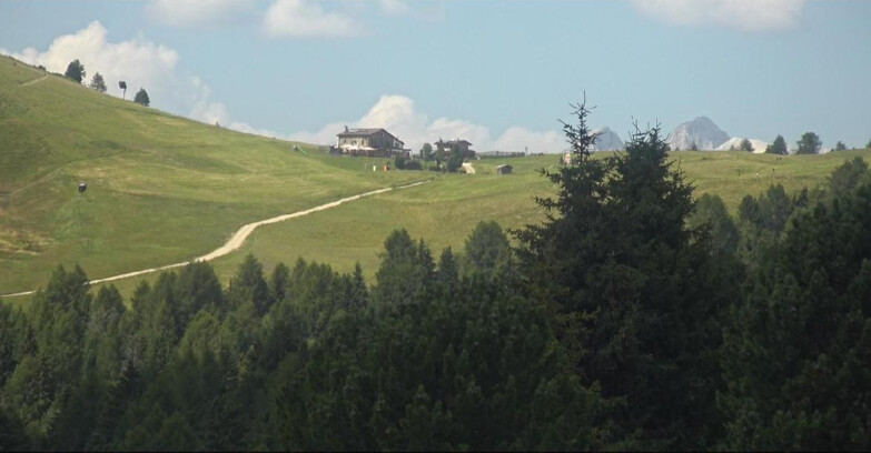 Webcam Bellamonte-Alpe Lusia - Dolomiti slope