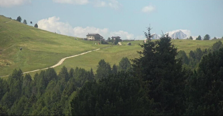 Webcam Bellamonte-Alpe Lusia - Dolomiti slope