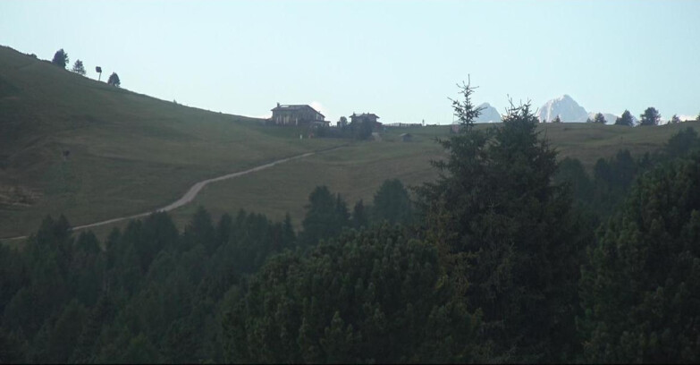 Webcam Bellamonte-Alpe Lusia - Dolomiti slope