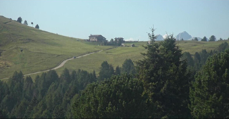 Webcam Bellamonte-Alpe Lusia - Dolomiti slope