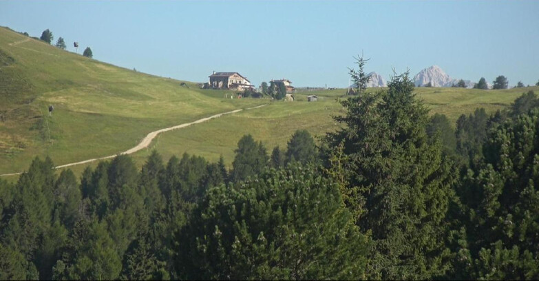 Webcam Bellamonte-Alpe Lusia - Dolomiti slope