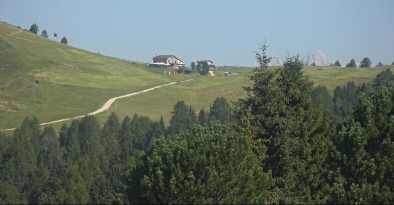 Webcam Белламонте-Альпе-Лусиа  - Pista Dolomitica