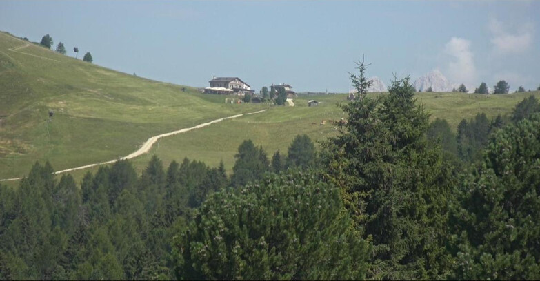 Webcam Белламонте-Альпе-Лусиа  - Pista Dolomitica