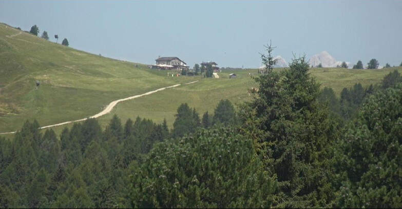 Webcam Белламонте-Альпе-Лусиа  - Pista Dolomitica