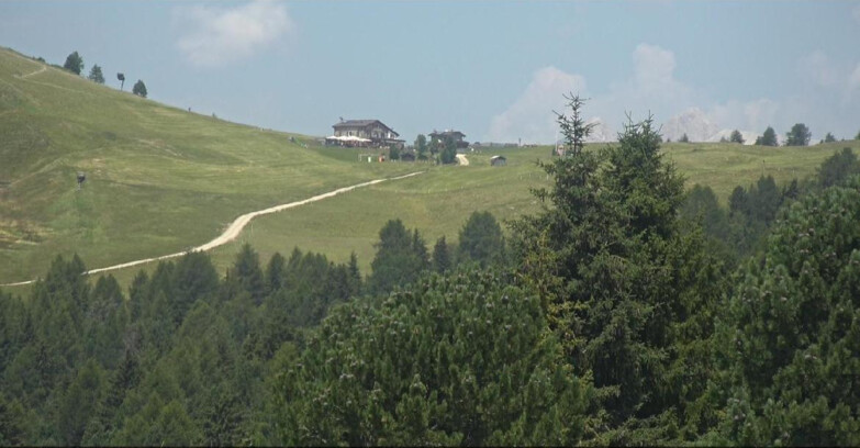 Webcam Белламонте-Альпе-Лусиа  - Pista Dolomitica