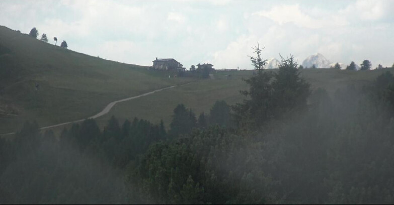 Webcam Белламонте-Альпе-Лусиа  - Pista Dolomitica