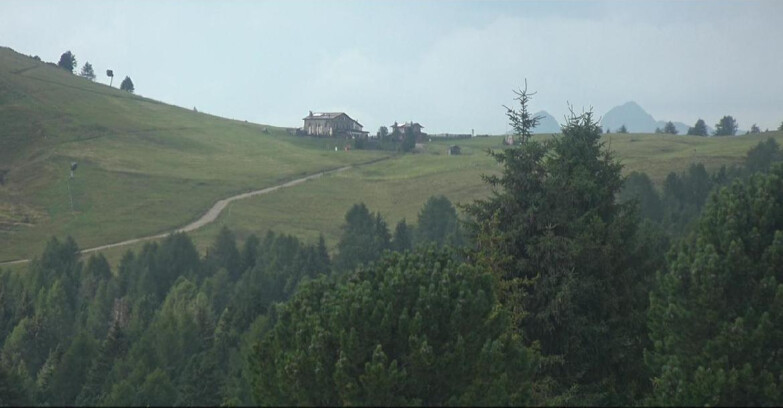 Webcam Белламонте-Альпе-Лусиа  - Pista Dolomitica