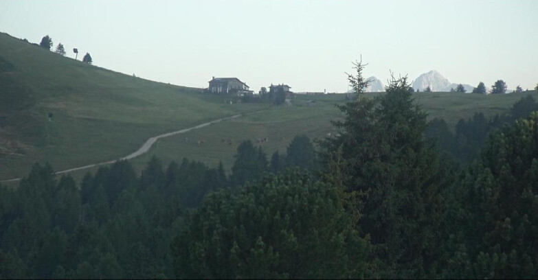 Webcam Белламонте-Альпе-Лусиа  - Pista Dolomitica