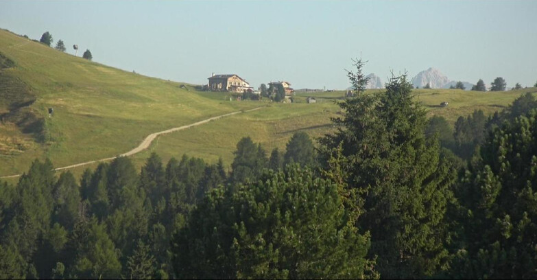 Webcam Белламонте-Альпе-Лусиа  - Pista Dolomitica