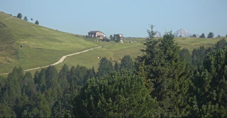 Webcam Белламонте-Альпе-Лусиа  - Pista Dolomitica