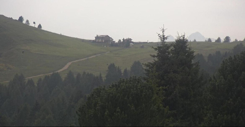 Webcam Bellamonte-Alpe Lusia - Dolomiti slope