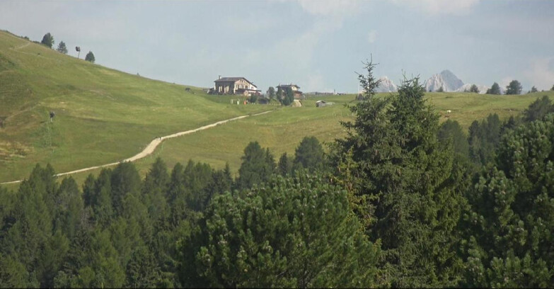 Webcam Bellamonte-Alpe Lusia - Pista Dolomitica