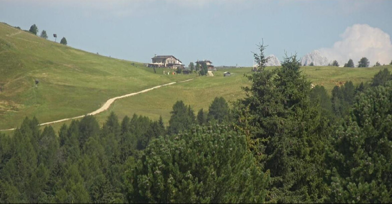 Webcam Bellamonte-Alpe Lusia - Pista Dolomitica