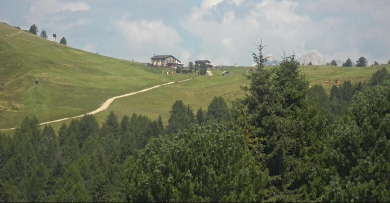 Webcam Bellamonte-Alpe Lusia - Pista Dolomitica