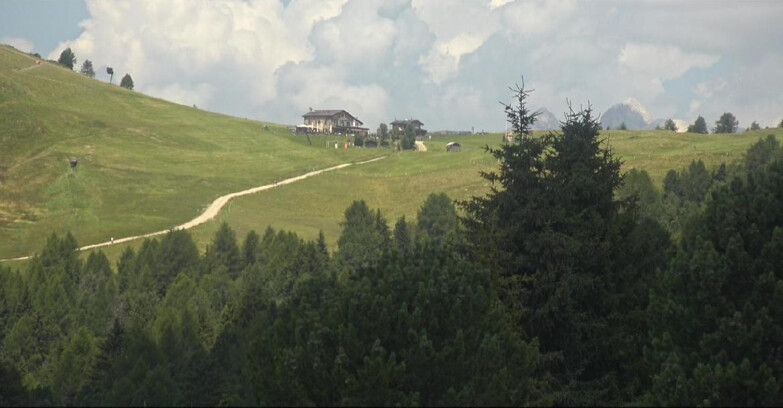 Webcam Bellamonte-Alpe Lusia - Pista Dolomitica