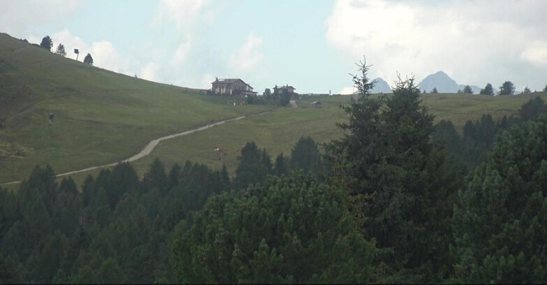 Webcam Bellamonte-Alpe Lusia - Pista Dolomitica