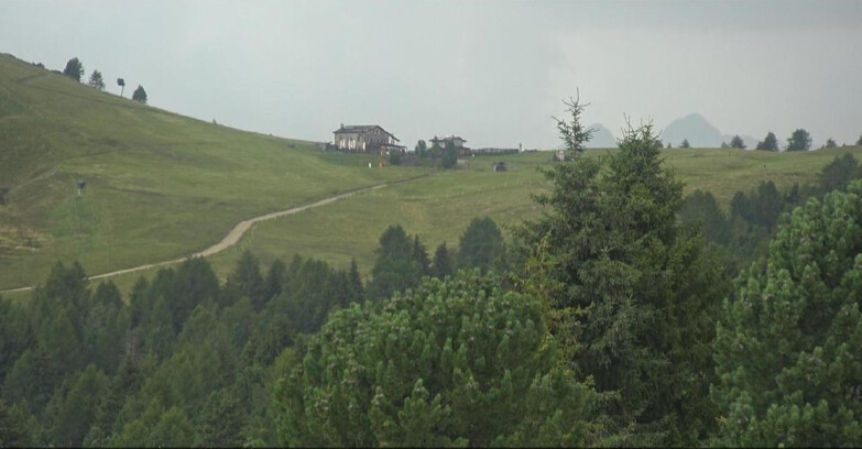 Webcam Bellamonte-Alpe Lusia - Pista Dolomitica