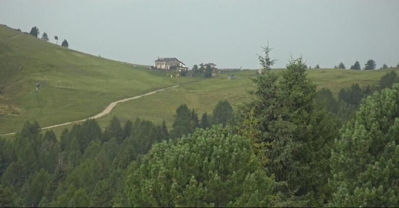 Webcam Bellamonte-Alpe Lusia - Pista Dolomitica