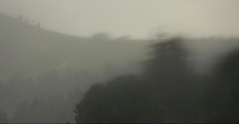 Webcam Bellamonte-Alpe Lusia - Pista Dolomitica