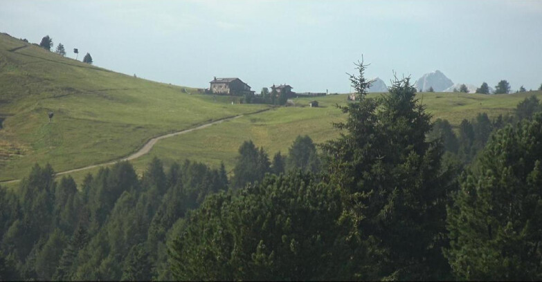 Webcam Bellamonte-Alpe Lusia - Pista Dolomitica