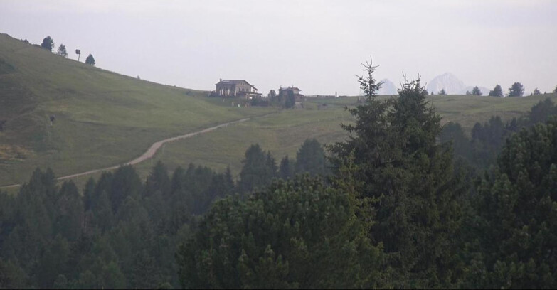 Webcam Bellamonte-Alpe Lusia - Pista Dolomitica