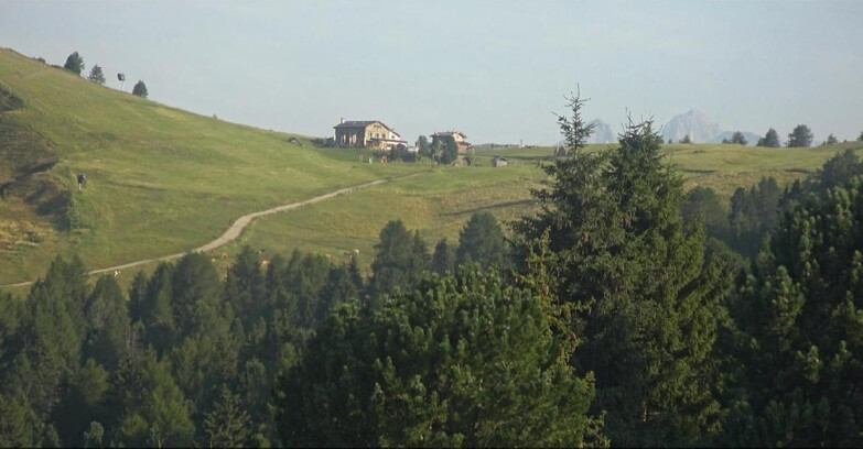 Webcam Bellamonte-Alpe Lusia - Pista Dolomitica