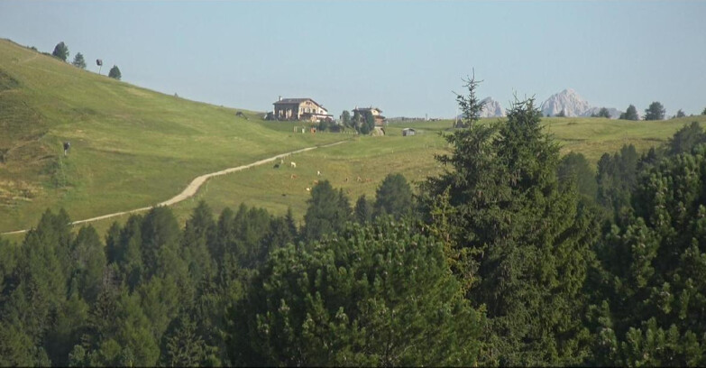 Webcam Bellamonte-Alpe Lusia - Pista Dolomitica