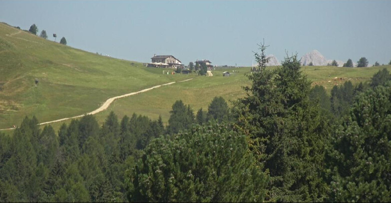 Webcam Bellamonte-Alpe Lusia - Dolomiti slope