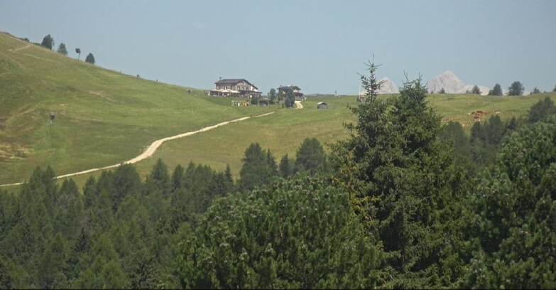 Webcam Bellamonte-Alpe Lusia - Dolomiti slope
