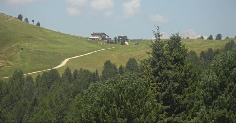 Webcam Bellamonte-Alpe Lusia - Dolomiti slope