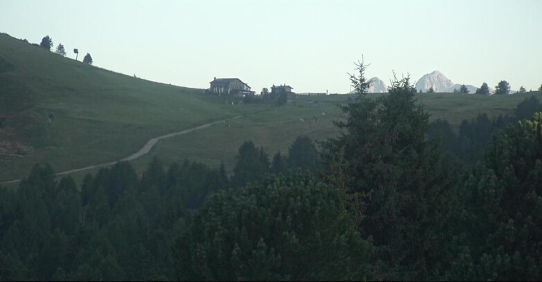 Webcam Bellamonte-Alpe Lusia - Dolomiti slope