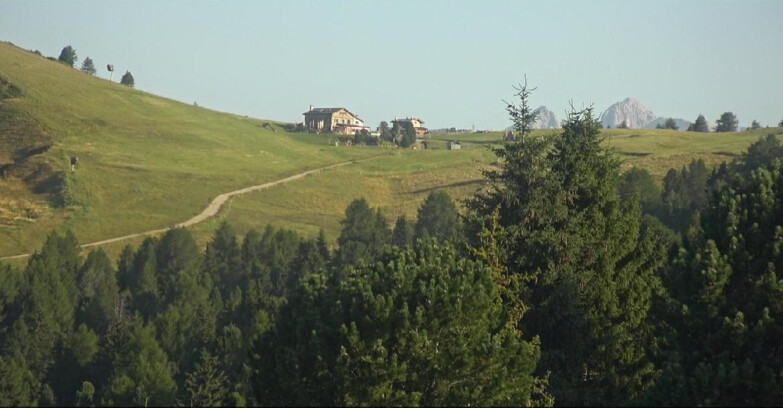 Webcam Bellamonte-Alpe Lusia - Dolomiti slope