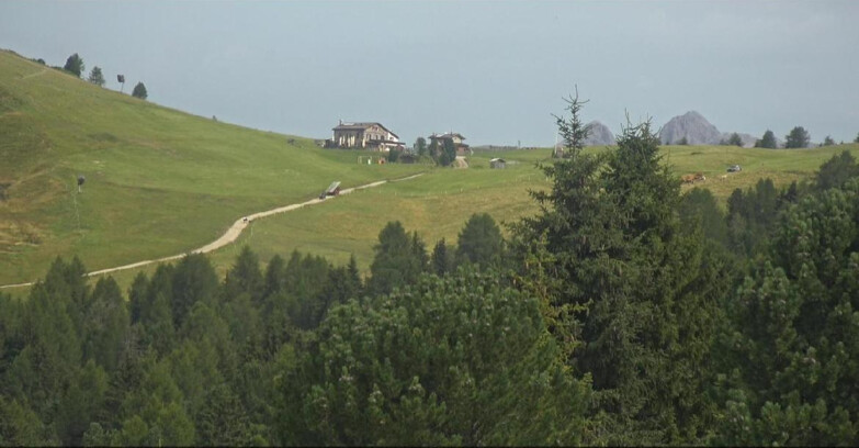 Webcam Bellamonte-Alpe Lusia  - Pista Dolomitica