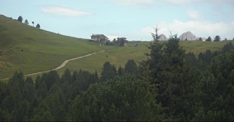 Webcam Bellamonte-Alpe Lusia  - Pista Dolomitica