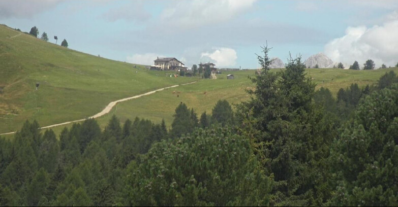 Webcam Bellamonte-Alpe Lusia  - Pista Dolomitica