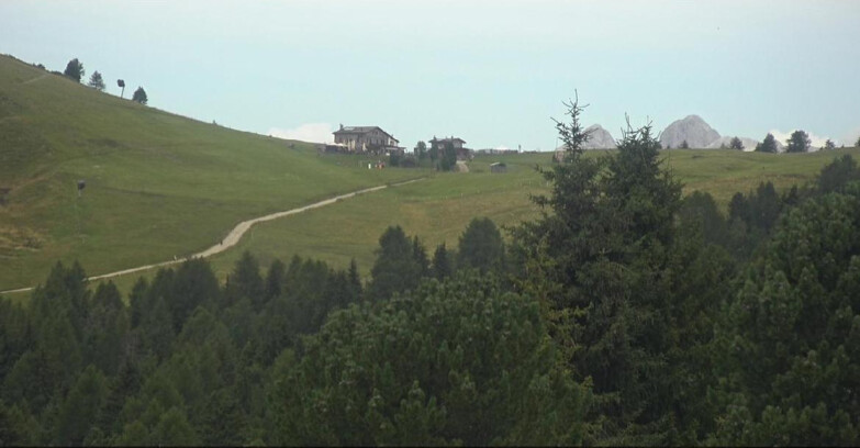 Webcam Bellamonte-Alpe Lusia  - Pista Dolomitica