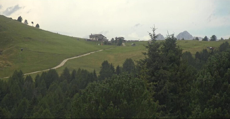 Webcam Bellamonte-Alpe Lusia  - Pista Dolomitica