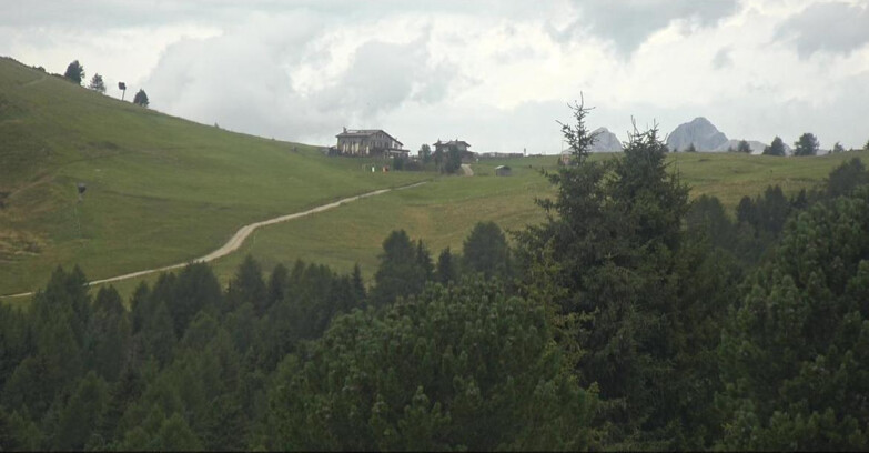 Webcam Bellamonte-Alpe Lusia  - Pista Dolomitica