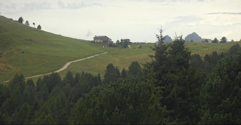Webcam Bellamonte-Alpe Lusia  - Pista Dolomitica