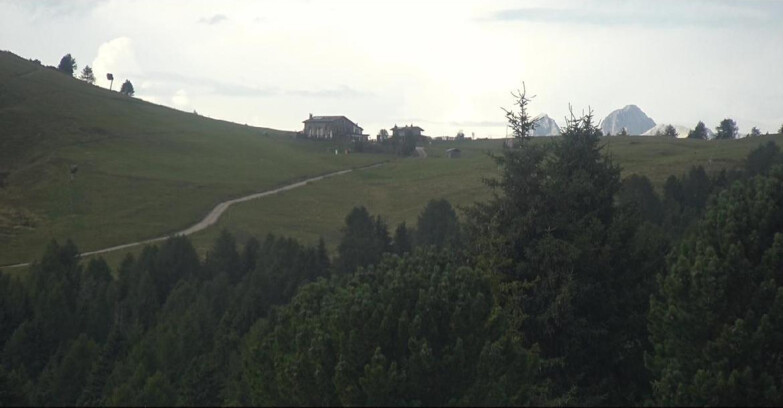 Webcam Bellamonte-Alpe Lusia  - Pista Dolomitica